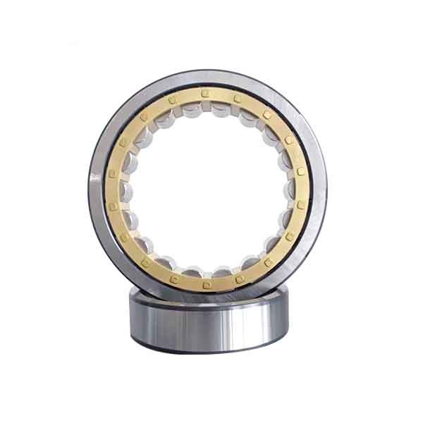 Cylindrical Roller Bearings