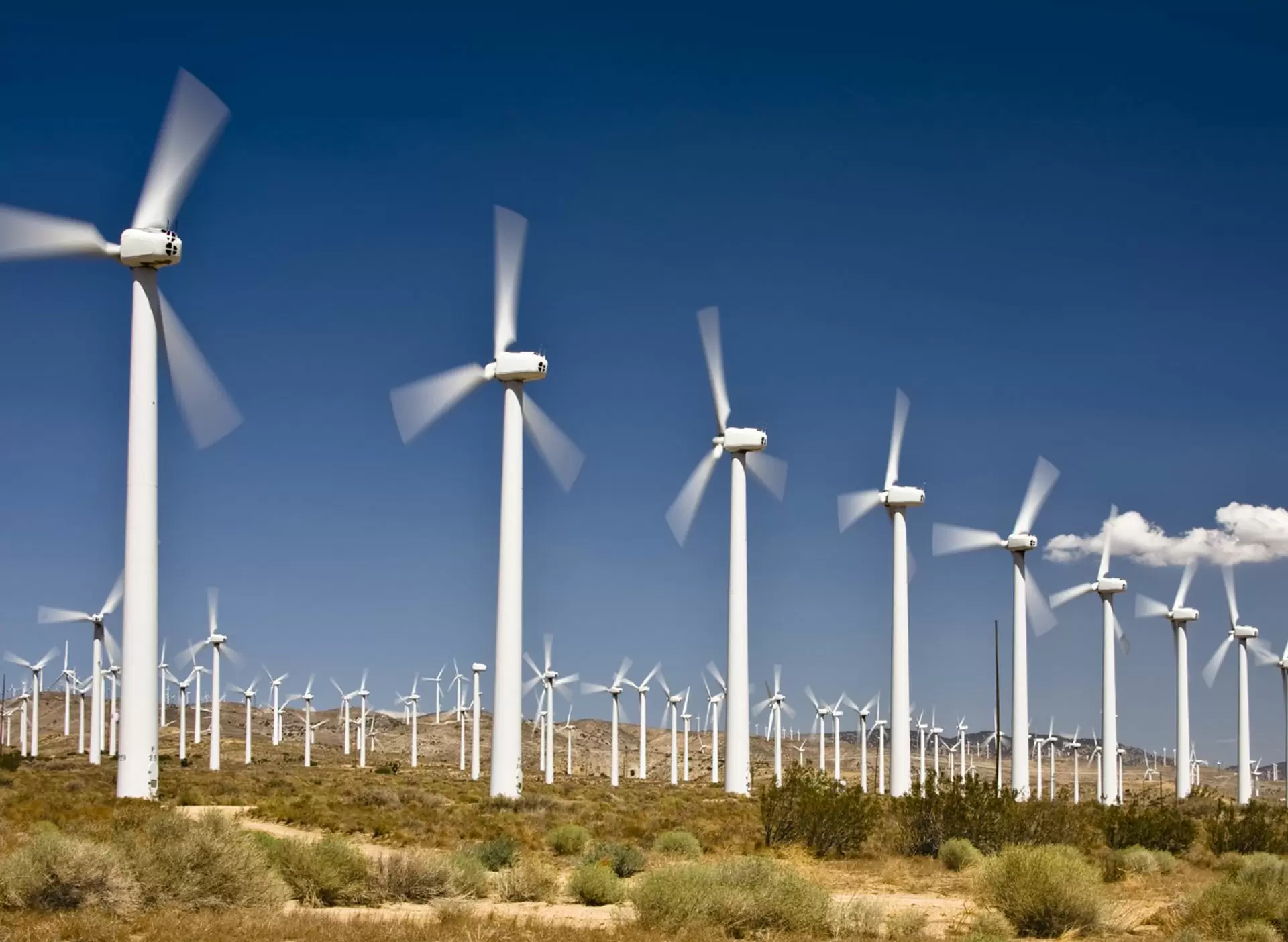 Energía Eólica